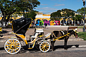 Horse-drawn carriages in Izamal, Yucatan, Mexico, known as the Yellow Town. The Historical City of Izamal is a UNESCO World Heritage Site.