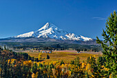Mount Hood and valley view from Mount Hood Organic Farms, Hood River Valley, Oregon.