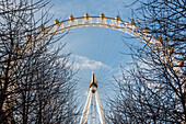 London Eye, London Borough of Lambeth, England, Vereinigtes Königreich