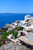 Hillside buildings in Oia, Santorini, Greek Islands, Greece