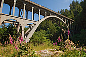 Cape Creek Bridge at Devil's Elbow State Park on the Oregon Coast..