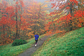 Jogger on Wildwood Trail with trees in Fall color; Hoyt Arboretum, Washington Park, Portland, Oregon.