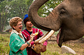 Patara Elefantenfarm, Chiang Mai, Thailand: Besucher füttert einen Elefanten mit Bananen.