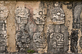 Die Plattform der Schädel oder der Tzompantli diente dazu, die Schädel gefallener Feinde und Opfer in den Ruinen der großen Maya-Stadt Chichen Itza, Yucatan, Mexiko, auszustellen. Die prähispanische Stadt Chichen-Itza gehört zum UNESCO-Weltkulturerbe.