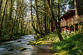 Cabin on Marten Creek at the Wayfarer Resort, McKenzie River, Oregon.