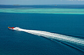Fiji islands boat experience. Excitor is the fastest boat of its size and kind in Fiji and definitely not to be missed whilst visiting Fiji! Offering unique high-speed tours and transfers around Port Denarau and the Mamanuca Islands.