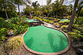 Birdwood Springs, Mini Putt Crazy Gold, the number one in New Zealand, based on the Coromandel Peninsula