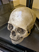 Ein menschlicher Schädel im Archäologischen Museum Calingasta in Calingasta, San Juan, Argentinien.