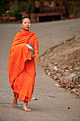 Young Buddhist monk on morning procession for offerings of food; Huay Kaew area, Chiang Mai, Thailand.