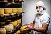 Porträt eines Arbeiters, der Käse während der Reifung in der Käsefabrik auf der Hacienda Zuleta, Imbabura, Ecuador, Südamerika, reinigt