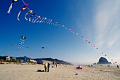 Das jährliche Puffin Kite Festival in Cannon Beach an der Küste von Oregon.