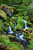 Wasserfälle am Watson Creek, Umpqua National Forest, Oregon.