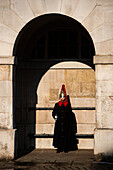 Wachablösung, Horse Guards, Westminster, London, England
