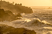 Wellen, die auf die Felsen im Shore Acres State Park an der Südküste von Oregon prallen.