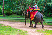 Tourists riding an Elephant at the Angkor Thom in Siem Reap Cambodia