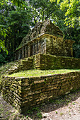 Temple 30 in the ruins of the Mayan city of Yaxchilan on the Usumacinta River in Chiapas, Mexico.