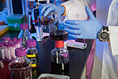 Scientist in laboratory with purple liquid