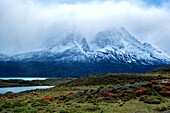 Torres del Paine-Nationalpark, Südchile, Südamerika