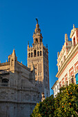 Außenansicht der Kathedrale von Sevilla, UNESCO-Weltkulturerbe, Sevilla, Andalusien, Spanien, Europa