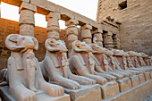 The Avenue of Ram Headed Sphinxes, Karnak Temple, Luxor, Thebes, UNESCO World Heritage Site, Egypt, North Africa, Africa