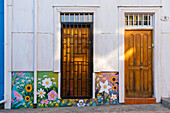 Painted mural with colorful flowers, Cerro Bellavista, Valparaiso, Valparaiso Province, Valparaiso Region, Chile, South America