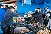 Mann kauft frische Meeresfrüchte auf dem Markt, Caleta Portales, Valparaiso, Provinz Valparaiso, Region Valparaiso, Chile, Südamerika