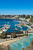 Elevated view of boats at Caleta Higuerillas, Concon, Valparaiso Province, Valparaiso Region, Chile, South America