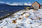 Rorbu and fjord near Sommaroy, Troms og Finnmark, north west Norway, Scandinavia, Europe
