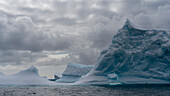 Eisberge, Pleneau Insel, Antarktis, Polargebiete