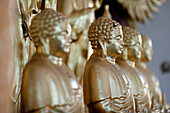 Buddhistischer Tempel Long Duc, Goldene Buddha-Statuen auf dem Altar, Tan Chau, Vietnam, Indochina, Südostasien, Asien