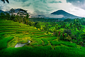Blick auf Sidemen Reisterrasse, Sidemen, Kabupaten Karangasem, Bali, Indonesien, Südostasien, Asien