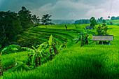 Blick auf Sidemen Reisterrasse, Sidemen, Kabupaten Karangasem, Bali, Indonesien, Südostasien, Asien
