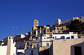 Plane Flying Past Buildings