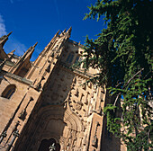 Kathedrale Nueva, tiefer Blickwinkel