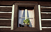 Fenster eines traditionellen Holzhauses, Tuzina, Slowakei.