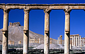 Säulen bei den Ruinen von Palmyra