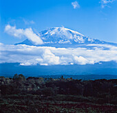 Mount Kilimanjaro With Low Clouds.