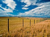 Zaun über die Felder