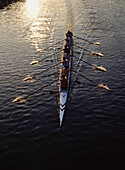 Team Rowing On A River.