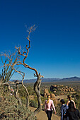 Menschen wandern durch die Sonoran-Wüste.