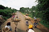 Women Carrying Firewood On Country Road