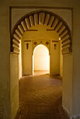Arched Passage In Alcazaba