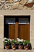 Blumen vor einem Fenster in einem mittelalterlichen Dorf