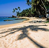 Schatten einer Palme am Strand von Dalawella