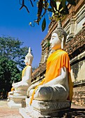 Buddha-Statuen im Wat Yai Chai Monghon