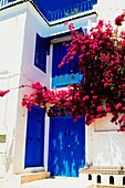Weißes Haus mit blauer Tür und überhängendem Blumenbusch