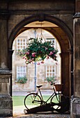Arched Entrance With Parked Bicycle