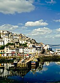 Brixham-Hafen