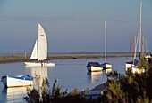 Segelboote auf dem Fluss