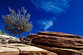 Zion Canyon